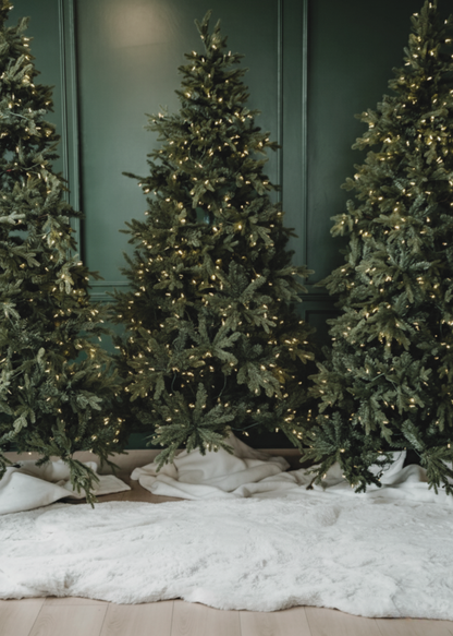 Holiday Portrait Package