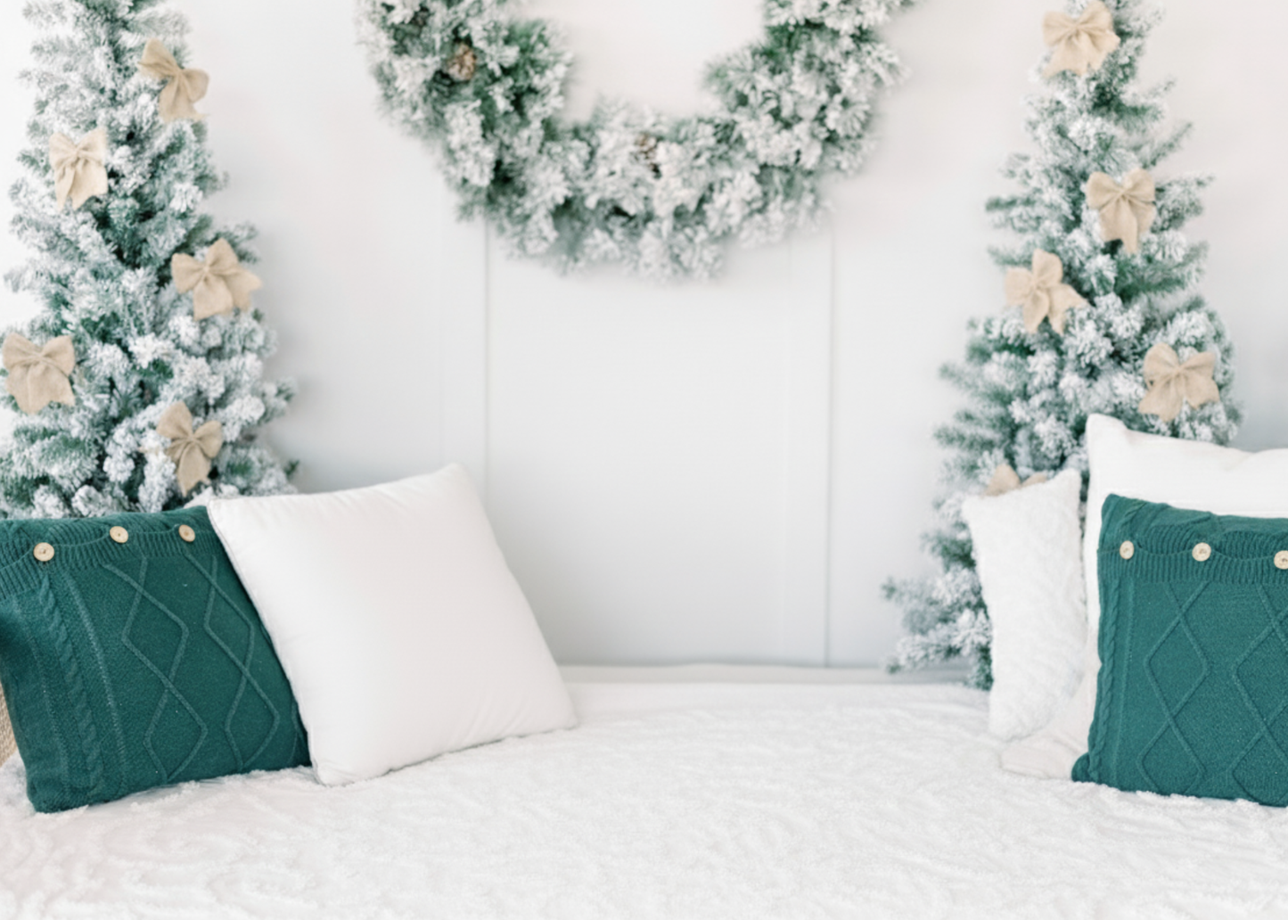 Holiday Portrait Package