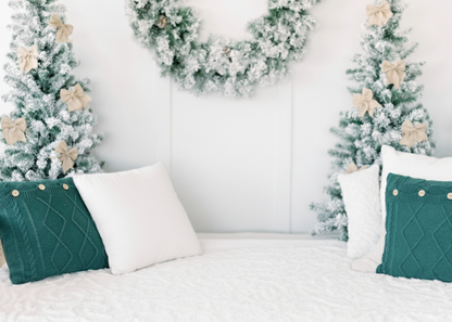 Holiday Portrait Package