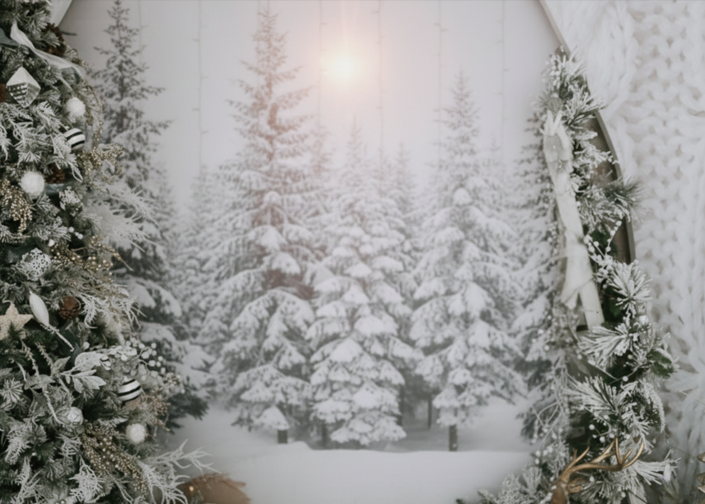 Holiday Portrait Package