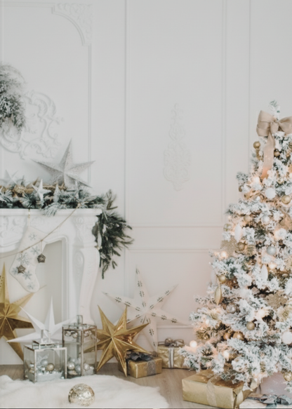 Holiday Portrait Package