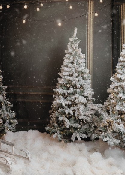 Holiday Portrait Package